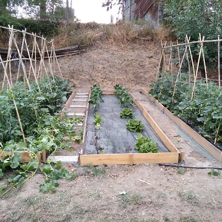 La Poderina * Cetona