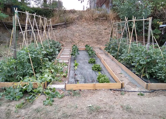 La Poderina * Cetona